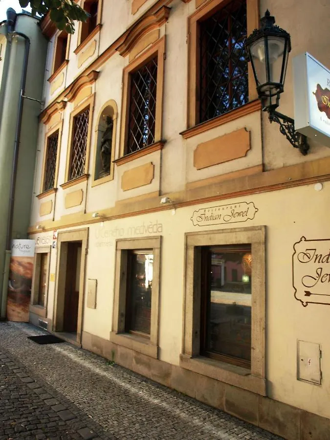 U Cerneho Medveda- At The Black Bear Apartment Prague
