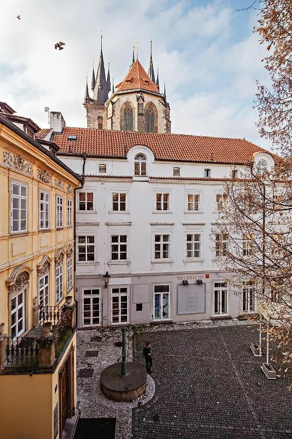 U Cerneho Medveda- At The Black Bear Apartment Prague